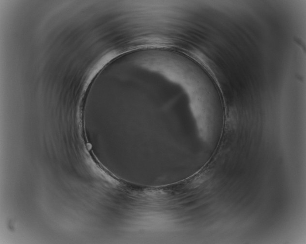 X0000102041243200807181505