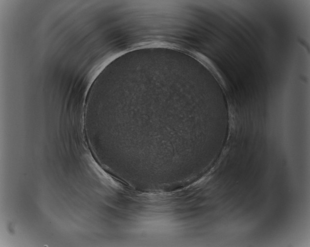X0000102041244200807181505
