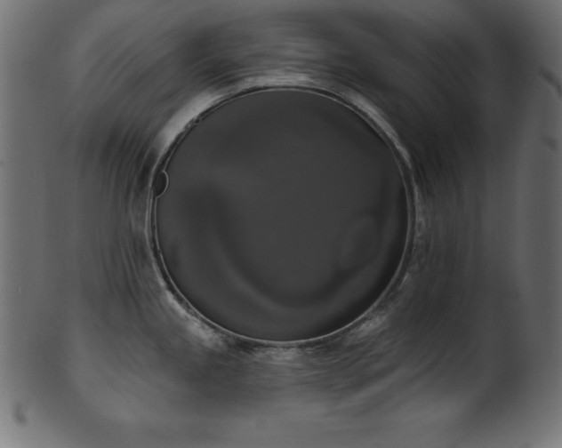 X0000102041245200807181505