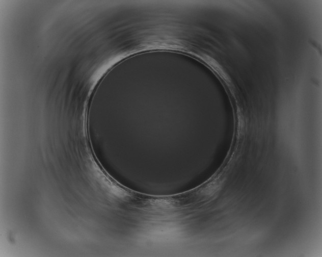 X0000102041246200807181505