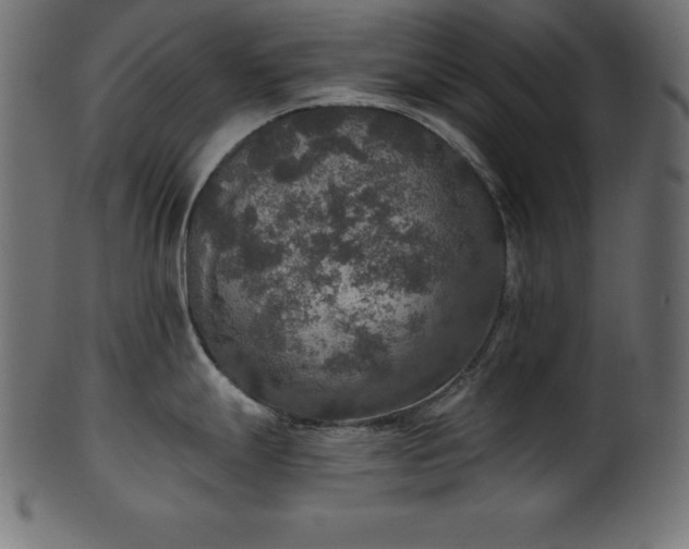 X0000102041247200807181505