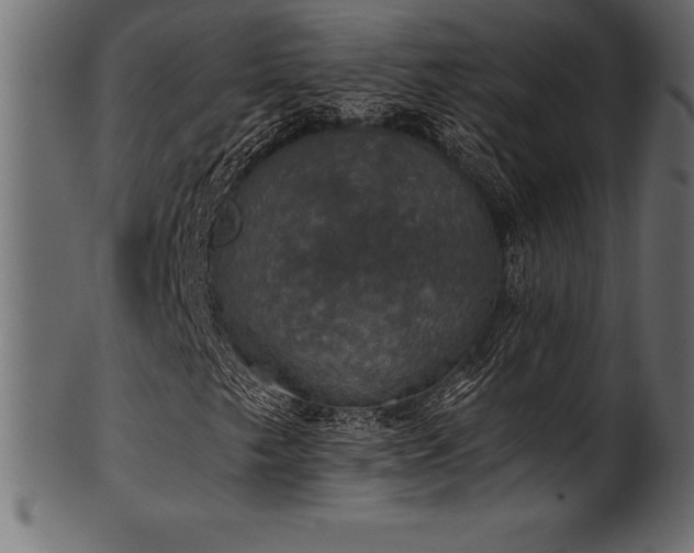 X0000102041249200807181505