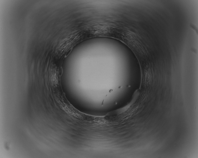 X0000102041250200807181505