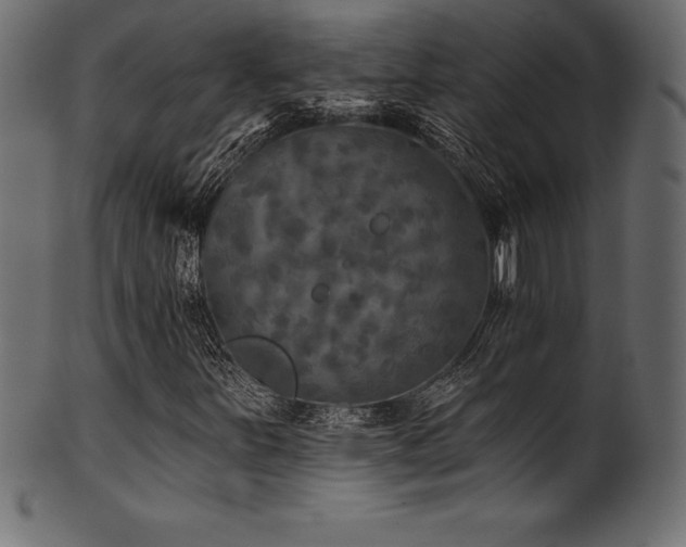 X0000102041251200807181505