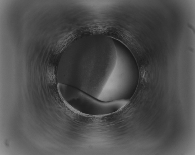 X0000102041252200807181505