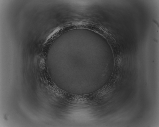 X0000102041254200807181505