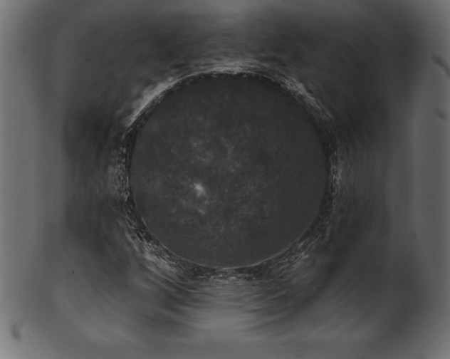 X0000102041256200807181504