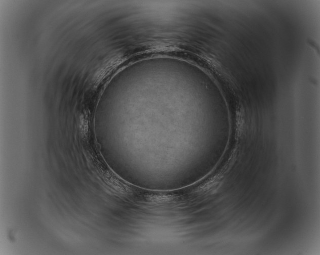 X0000102041257200807181504