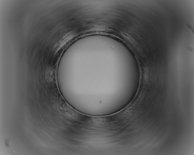 X0000102041258200807181504