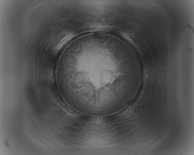 X0000102041259200807181504