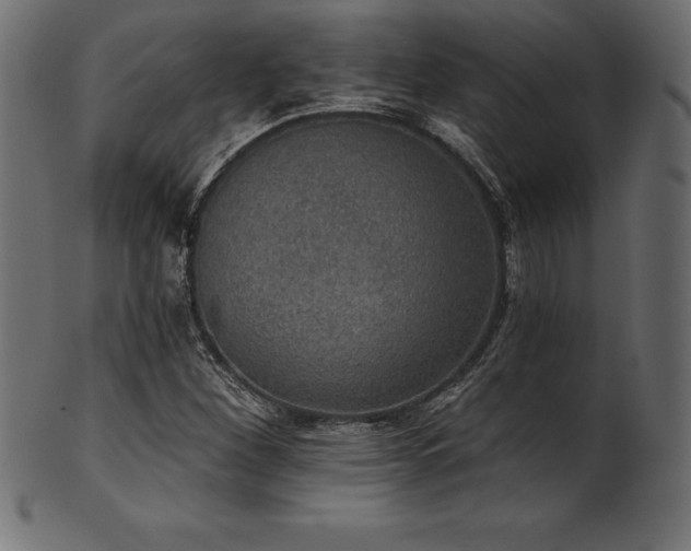 X0000102041260200807181504
