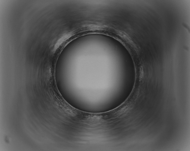 X0000102041261200807181504