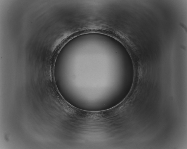 X0000102041262200807181504