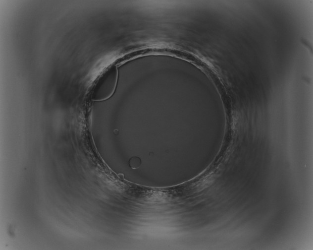 X0000102041263200807181504