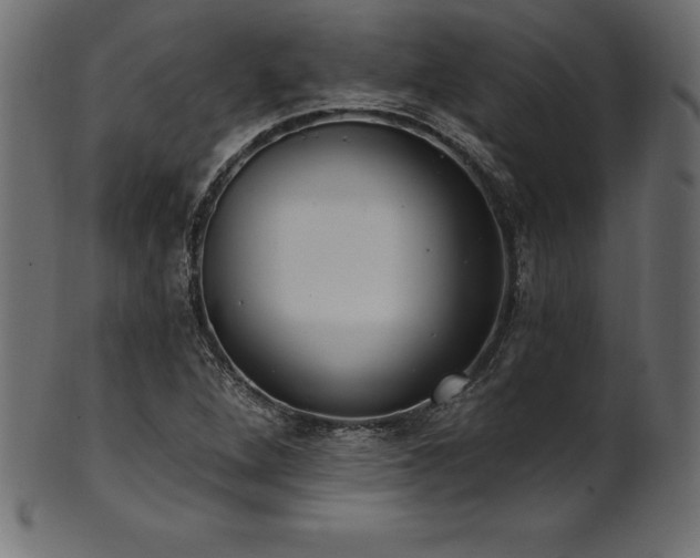 X0000102041264200807181504