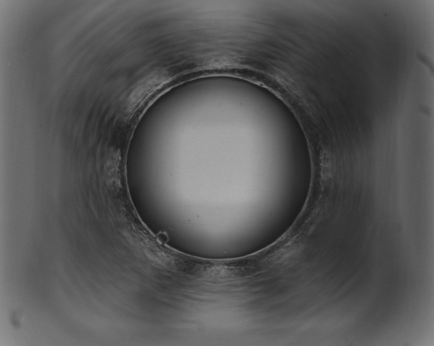 X0000102041265200807181504
