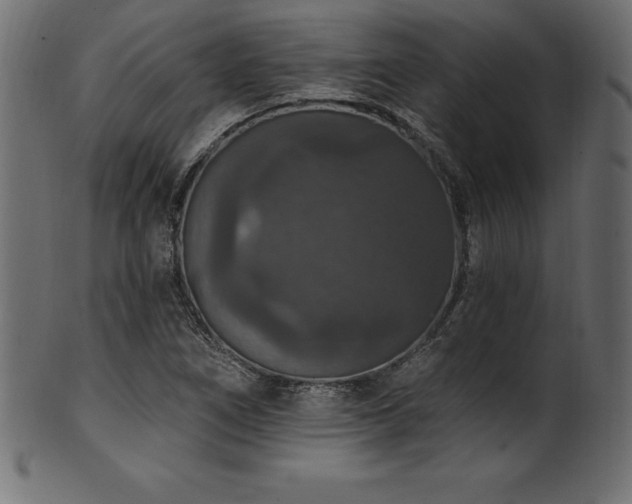 X0000102041266200807181504