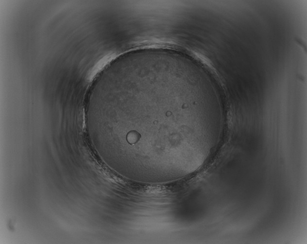 X0000102041267200807181504