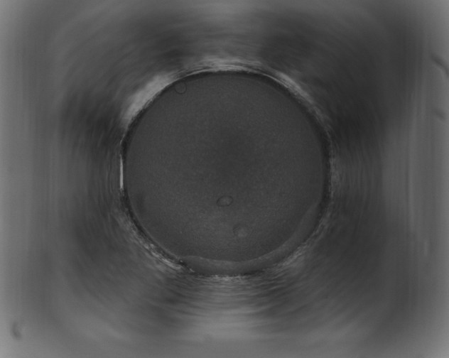 X0000102041269200807181504