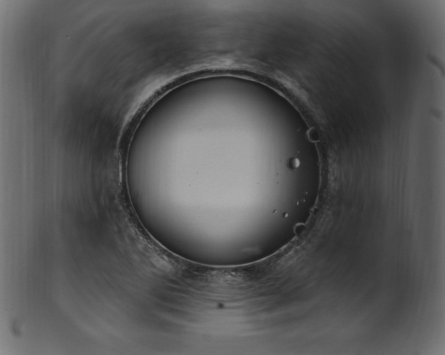 X0000102041270200807181504