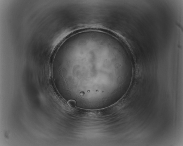 X0000102041271200807181504
