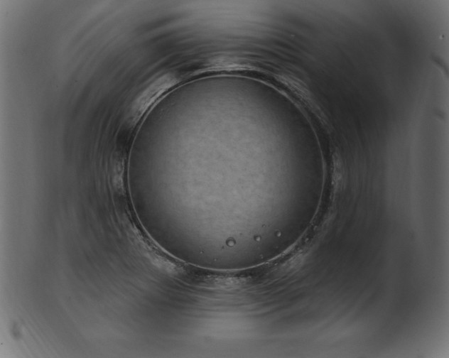 X0000102041273200807181504