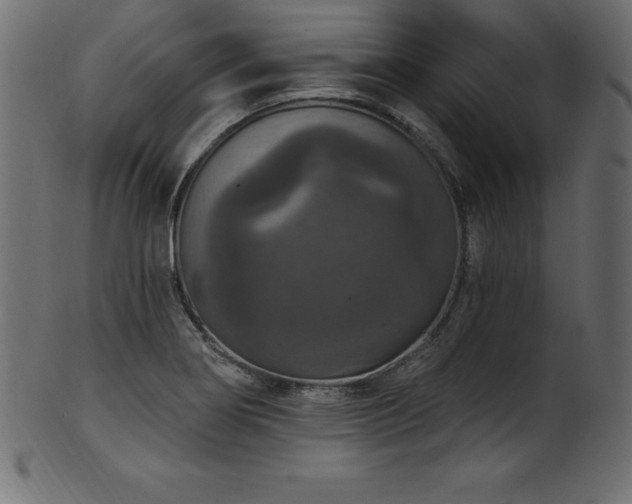 X0000102041274200807181504