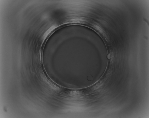 X0000102041275200807181504