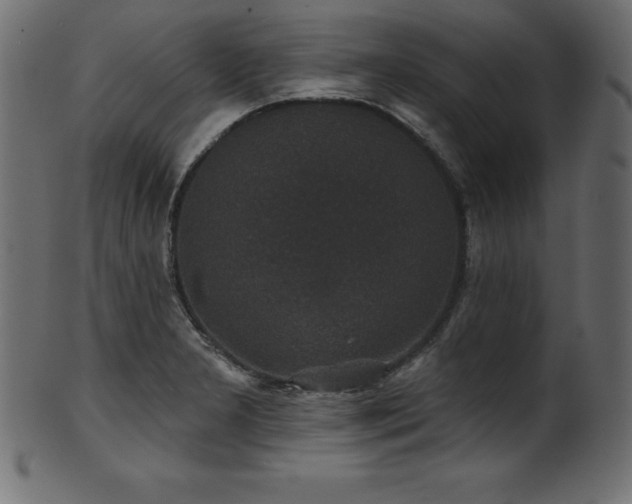 X0000102041277200807181504