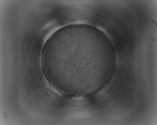 X0000102041278200807181504