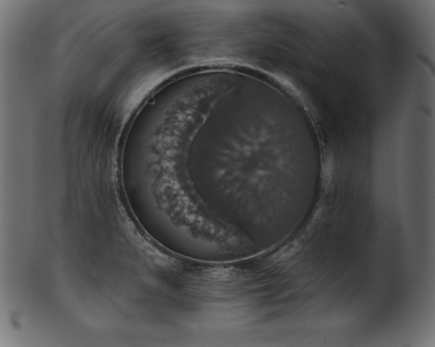 X0000102041279200807181504