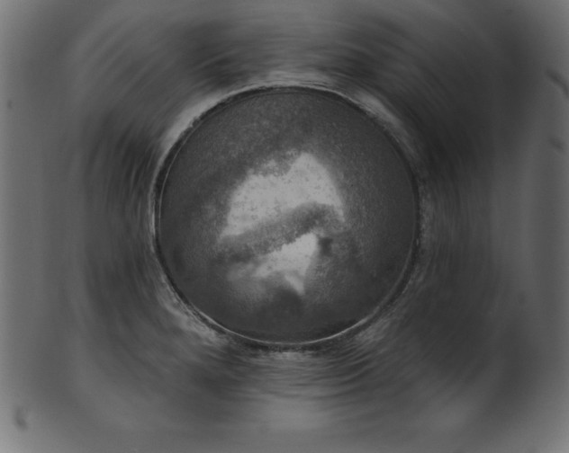 X0000102041280200807181504