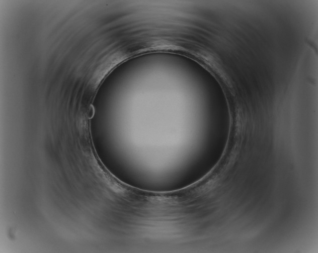 X0000102041281200807181504