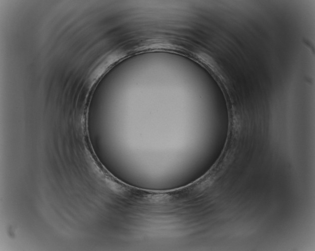 X0000102041282200807181504