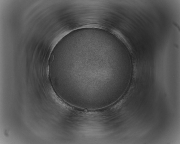 X0000102041284200807181504