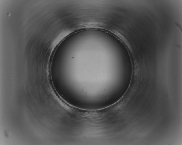 X0000102041285200807181504