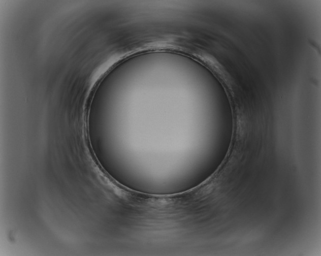 X0000102041286200807181504