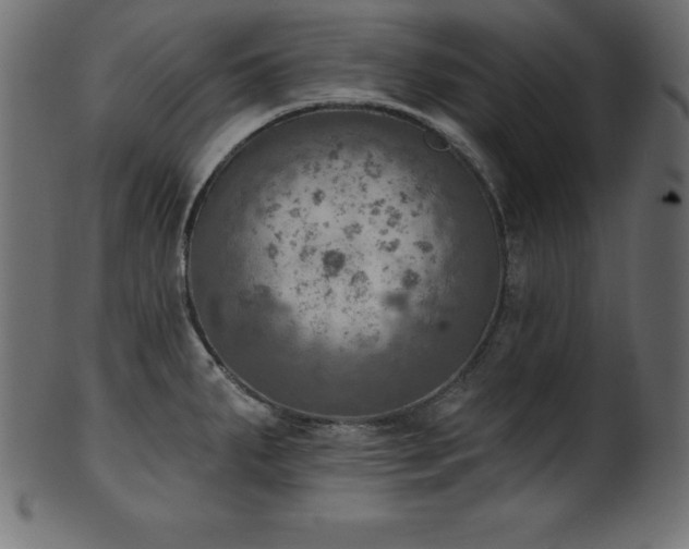 X0000102041287200807181504