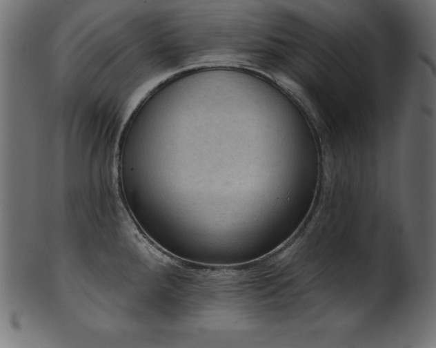 X0000102041288200807181504