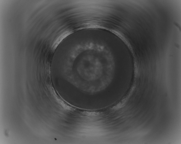 X0000102041289200807181504