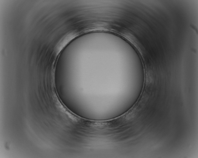 X0000102041290200807181504