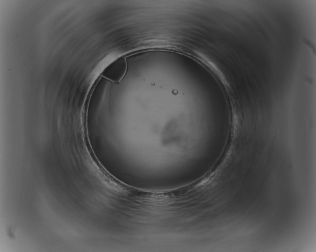 X0000102041291200807181504