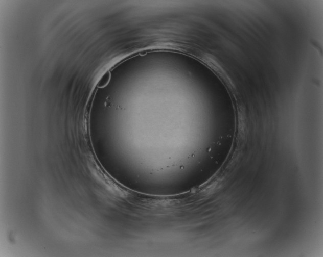 X0000102041292200807181504