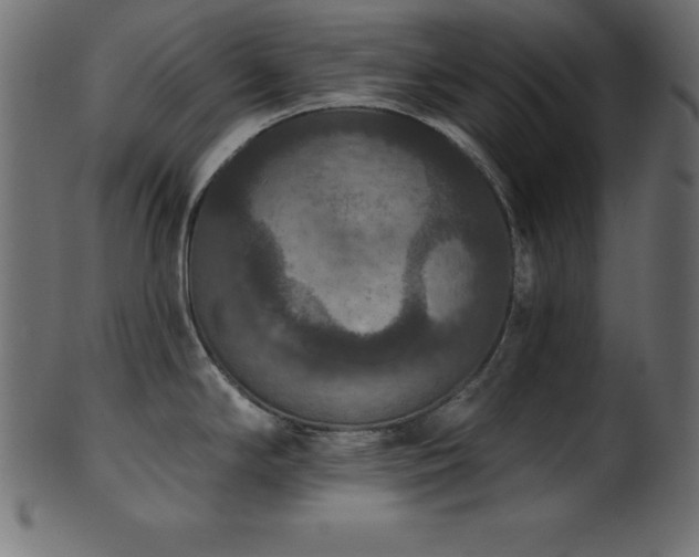X0000102041294200807181504