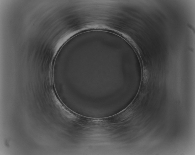 X0000102041295200807181504