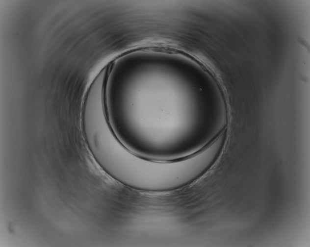 X0000102041296200807181504
