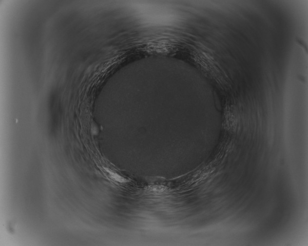 X0000102041297200807181503