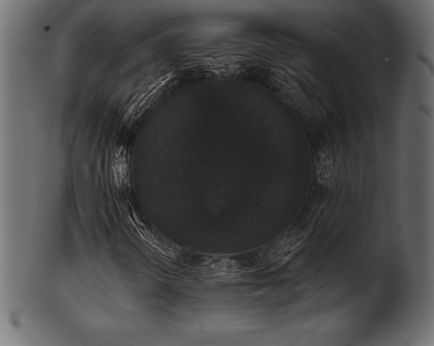X0000102041298200807181503