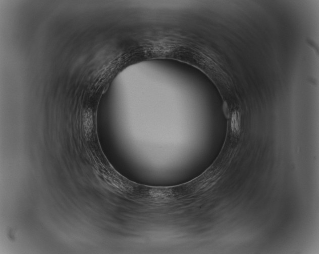 X0000102041299200807181503