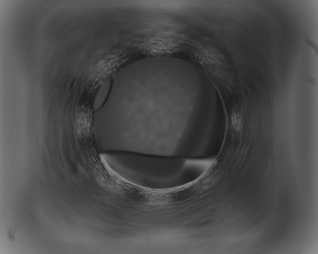 X0000102041300200807181503